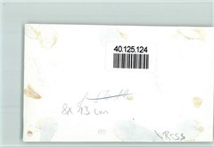 40125124 – 2932 Zetel Photo 8x13cm