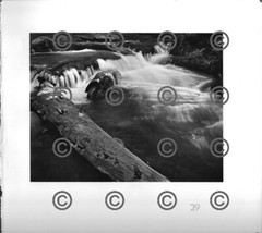 BOOK PLATE B&W Photo MORLEY BAER Logs in Coldwater Crk / Coldwater Creek 9X9.5″