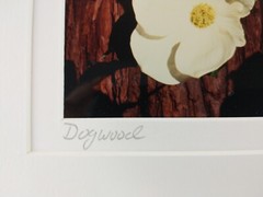 Signed Christine Loberg Dogwood Redwood Tree Photo Print Framed w/ Dedication