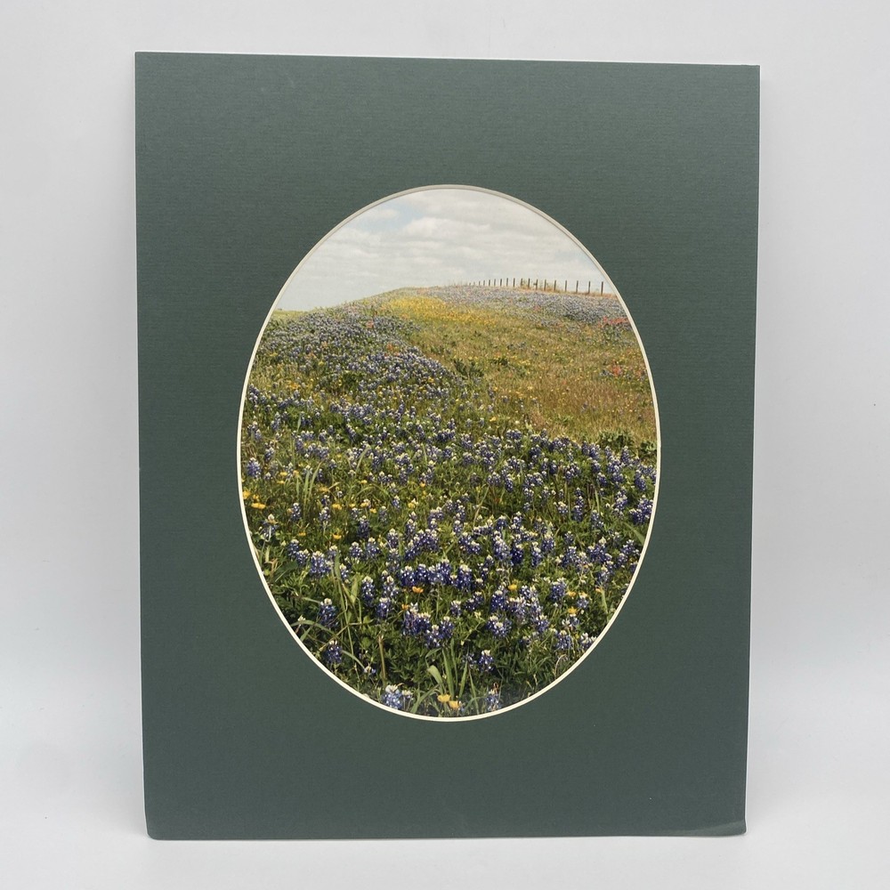 Matted Landscape Photo Print 11 X 14 Wall Art Gallery Decor