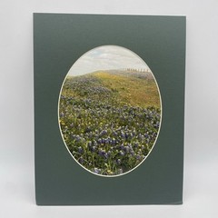 Matted Landscape Photo Print 11 X 14 Wall Art Gallery Decor