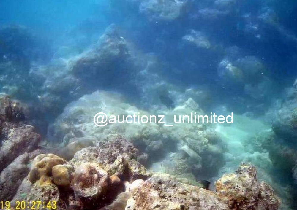 Digital Image Picture Photo Pic Andaman India underwater coral life scuba AND006