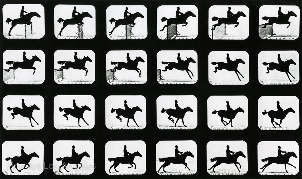 Eadweard Muybridge Photo, Jumping Horse, 1880s, 11×17″