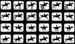 Eadweard Muybridge Photo, Jumping Horse, 1880s, 11×17″