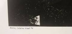 JAMES F. DANIS, «Avalon Catalina Island # 5» Photogtaphy