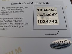 Kelly Bensimon Playboy Playmate Glamour Model Hand Signed 8X10 Autograph COA