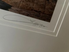 Michael Fatali «Sleeping Turtles» Authentic Framed Hand-Signed Photograph 1999
