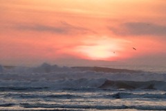 Digital Image Picture Photo Wallpaper: Ocean Beach Waves at Sunset