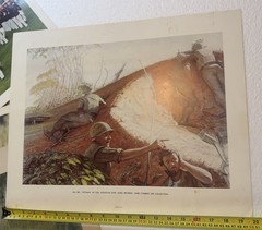 Lot 12 Vtg 1976 US Gov Military USMC Vietnam War WW1 WW2 Lithograph Poster Print