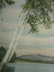 J Carleton Bicknell Wilton Birches NH Hand Colored Photo Wallace Nutting Peer