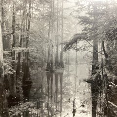 Blair Pittman: «Old River» – Original Gelatin Silver Print Photograph