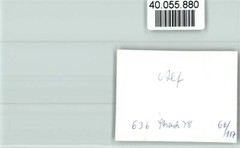 40055880 – 5584 Bullay Local View