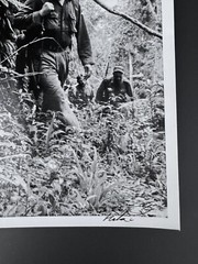 Fidel Castro in the Sierra Maestra – Iconic Jungle Portrait by Korda