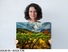 Stormy Glow: Arizona American Southwest Landscape Nature Wall Art Canvas Print