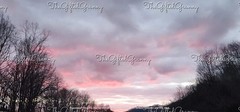 Digital Image Picture Photo Wallpaper Background Cotton Candy Sunset Bare Trees