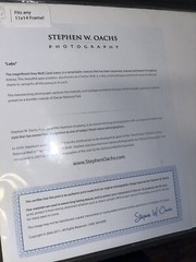 Photograph Signed By Award Winning Stephen W. Oachs LOBO TIMBER WOLF Wildlife