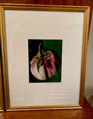 Set of 4 Original Photographs FOR KITCHEN signed and matted Eggplant Radish etc