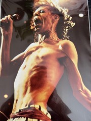 Vintage Mick Jagger Photo Print 1975 Annie Leibovitz Rolling Stones Music Art