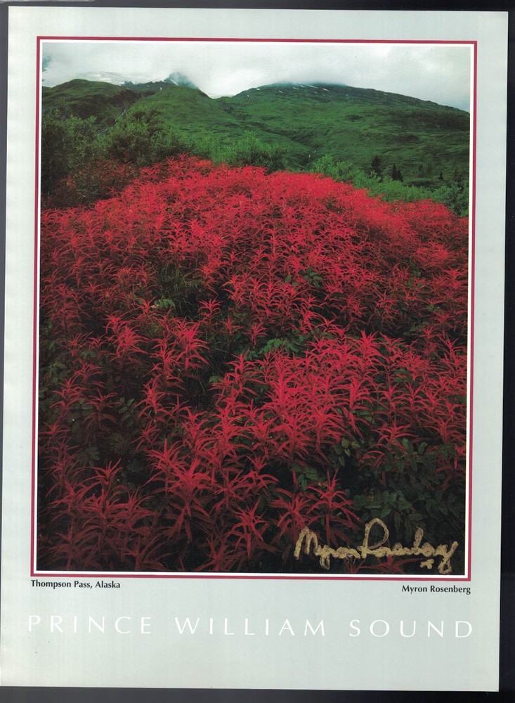 Myron Rosenberg Photography Signed Photo Print: PRINCE WILLIAM SOUND 9.5×7