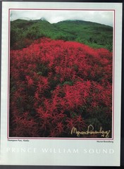 Myron Rosenberg Photography Signed Photo Print: PRINCE WILLIAM SOUND 9.5×7