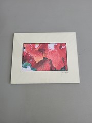 Photography Print By John T Slonina Matted 8×10 «Snow Leaves»-Read Description