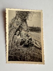 orig. Photo Children Field Circa 1930 Dog