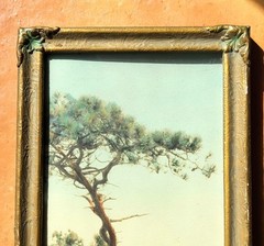 FREDERICK W. MARTIN Hand-Tinted Hand-Color Photo Torrey Pines 8.75″ x 4.75″ VGC