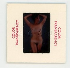Org Nude Camera Club 1950s-60s 35mm Slide / Negative- Endowed Woman- Suntan #6