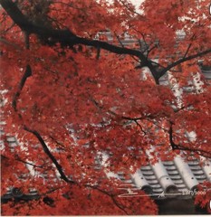 Signed Limited Edition Color Nature Photo Prints Set of 4: Waterfall Koi Bamboo