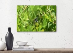 «Stand-Out» Photography Wall Art & Prints