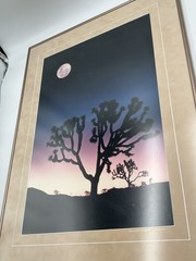 Vtg Large Format Photography Joshua Tree And Full Moon Signed And Numbered 21×29