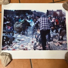 Janine Gordon Photograph 60″x72″ C-print Edition Grid Bike Kill Signed Fine Art