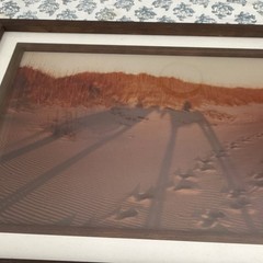 Horses in Shadow Sand Dunes Landscape Photograph Framed 14 1/2” x 11.