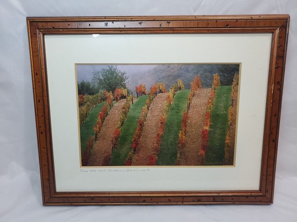 Signed Framed Photograph Vinyard In Chianti 1999 14″x17.5″ As Pictured