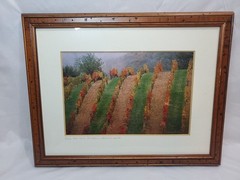 Signed Framed Photograph Vinyard In Chianti 1999 14″x17.5″ As Pictured