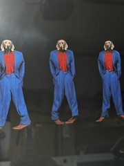 Fashion Photographs William Wegman 3 Weims picture custom framed/matted