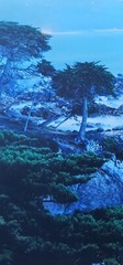 Robert Sheer Spirits Honoring the Lone Cypress Single Exp Photograph Hand signed