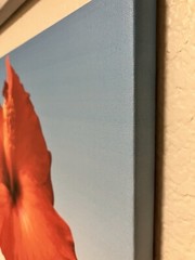 Wall Art Canvas Print From original photo, Limited Edition, 16x20x0.75 Inches
