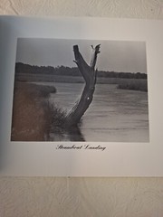 Indigo Tides by Suzanne Strout 1998 Signed by Author/Artist