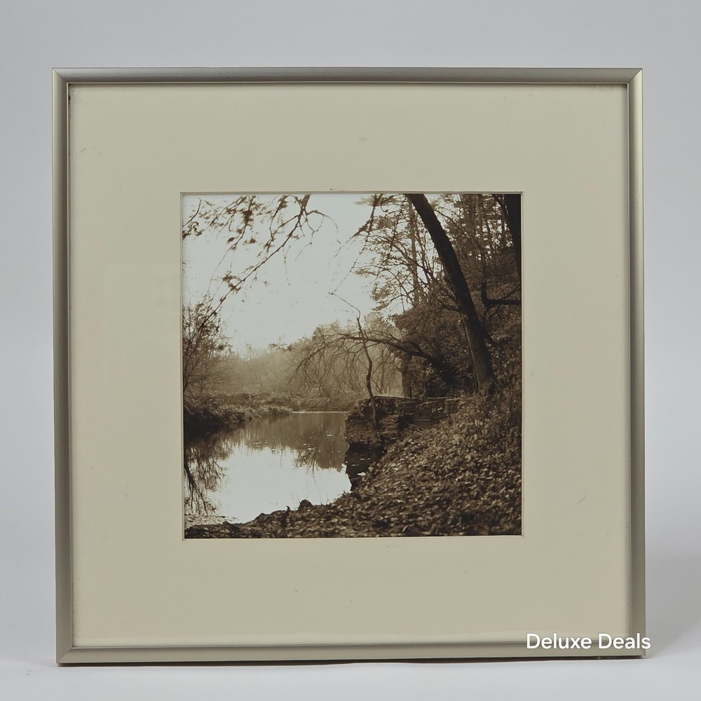 Steven Michael Bogdonas | White Pines State Park, IL, Original Print