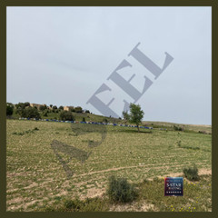 Siliana Tunisia Farmland Landscape Digital Download JPG Nature Wall Art Photo-9