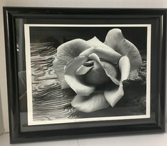 ANSEL ADAMS Art Photo ROSE and DRIFTWOOD 1932 Still Life 17×14 Inches