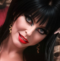 Elvira Mistress of the Dark Spider Web Lingerie Metal Sign Wall Art 14″ x 11″