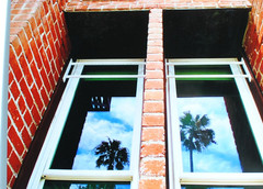 Artistic Brick Building Metal Print Professional Photograph/Palm Trees 16″ x 20″