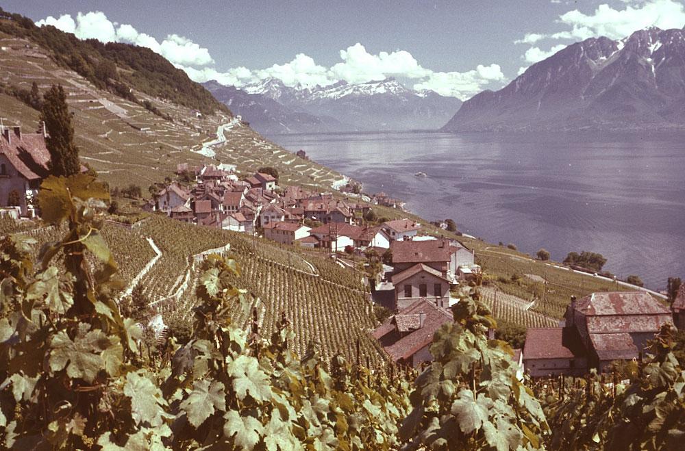 35mm slide · Lake Geneva – vineyards near Riex