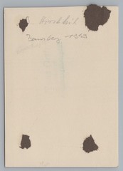 Bamberg 1949 – Saint Peter and George Stag Cow Gargoyle – Old Photo 1940s