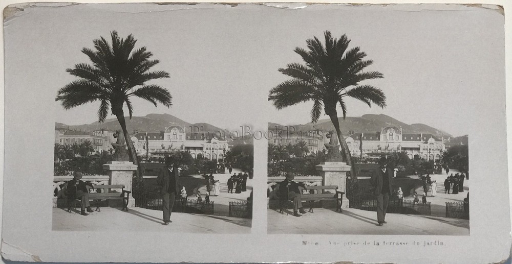 Nice Garden Photography Stereo Vintage Analogue