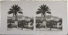 Nice Garden Photography Stereo Vintage Analogue