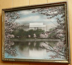JAPANESE CHERRY TREES BUCKINGHAM WASHINGTON DC HAND COLORED PHOTOGRAPH LANDSCAPE