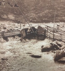 Original 1923 EDWARD CURTIS Hupa Trout Trap NATIVE AMERICAN FISHING Photogravure